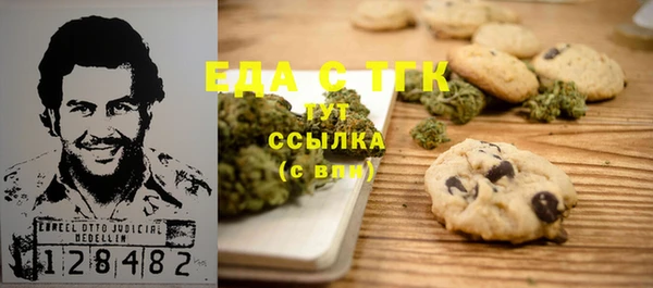 индика Беломорск