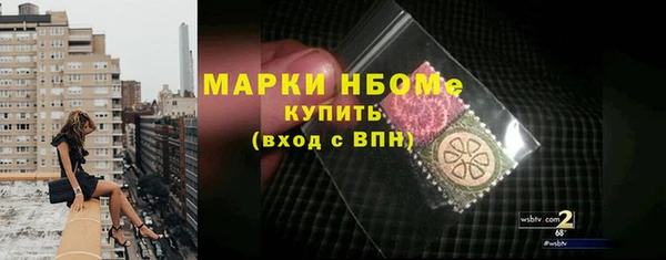 индика Беломорск