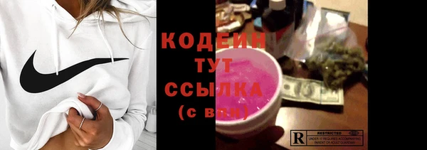 индика Беломорск