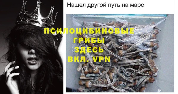 дживик Белоозёрский