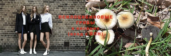 индика Беломорск