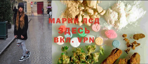 индика Беломорск