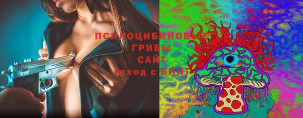 индика Беломорск