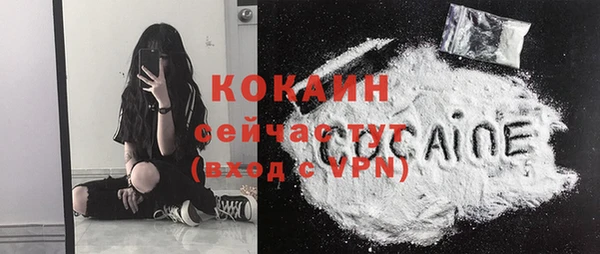 индика Беломорск