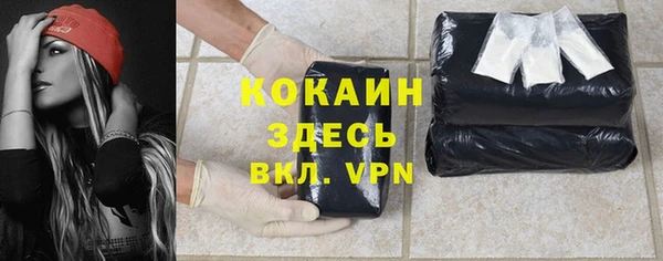 индика Беломорск